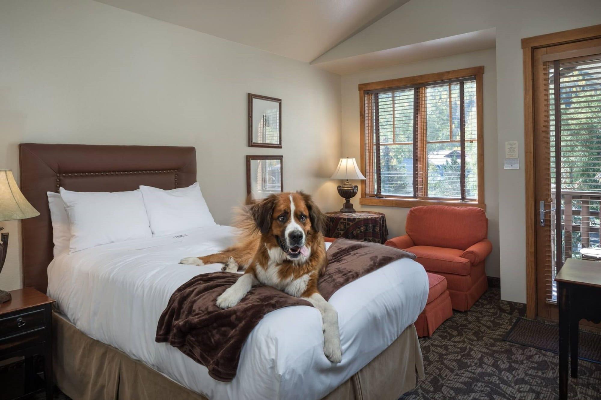 The Hotel Telluride Esterno foto